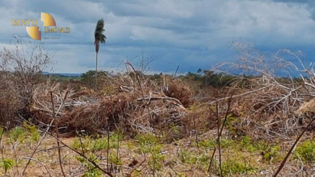 Fazenda de 2.095 ha em Nova Mutum, MT