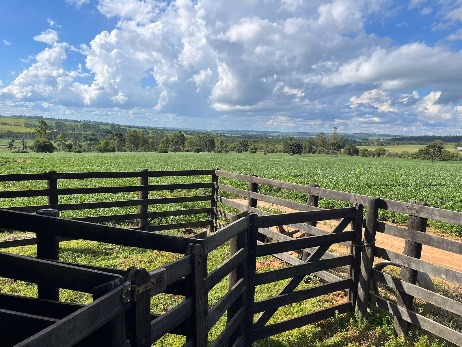 Small farm of 144 acres in Itapetininga, SP, Brazil
