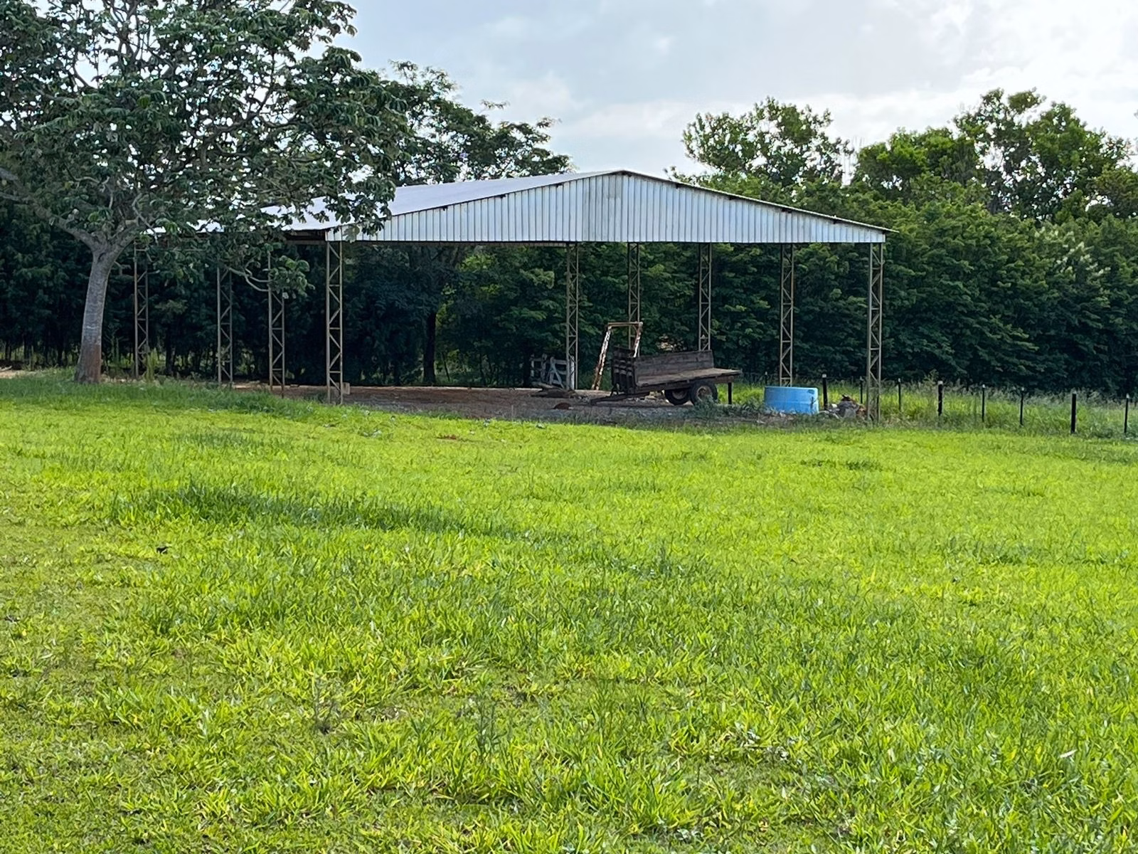 Small farm of 144 acres in Itapetininga, SP, Brazil
