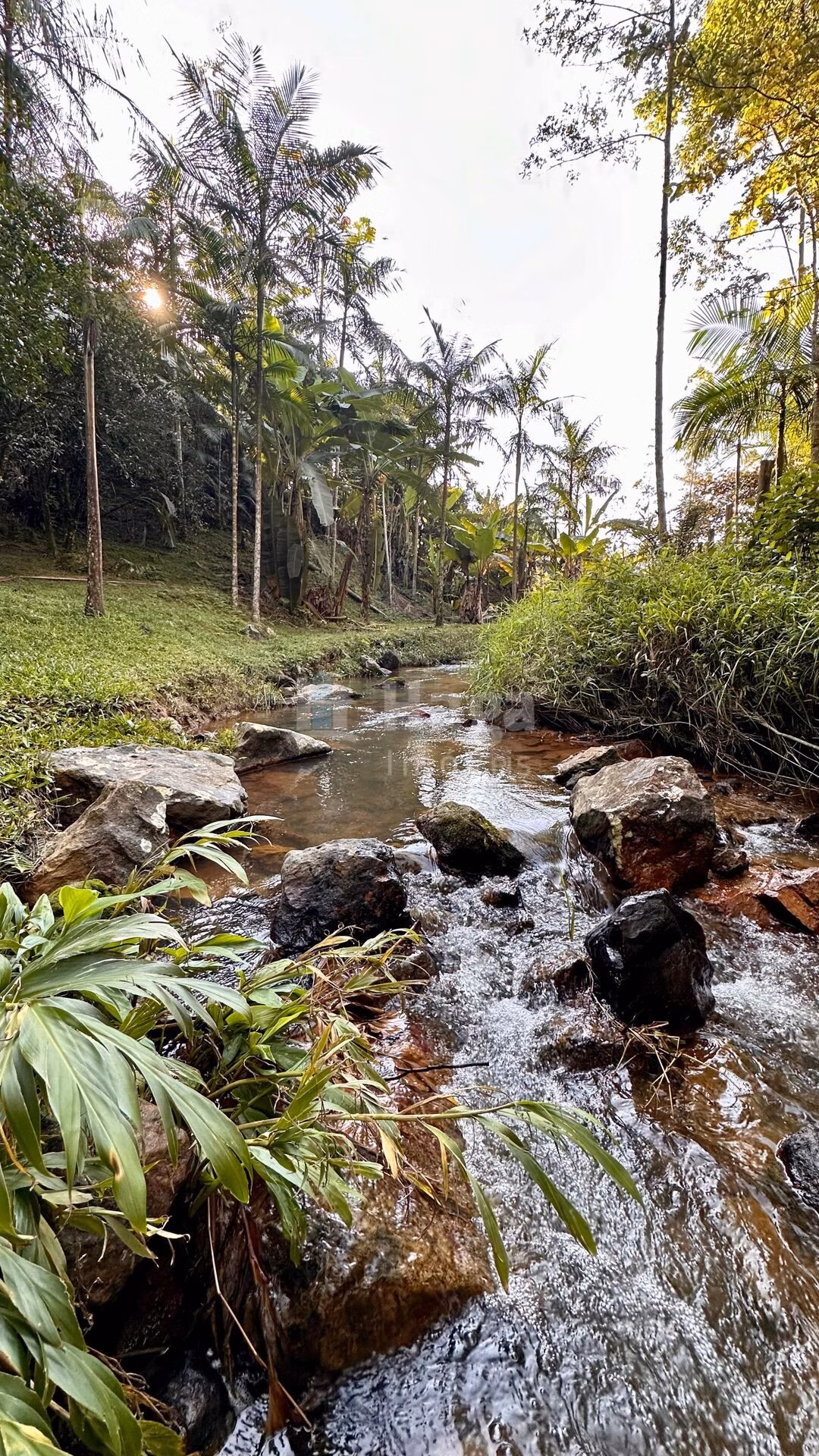 Farm of 3,000 m² in Tijucas, SC, Brazil