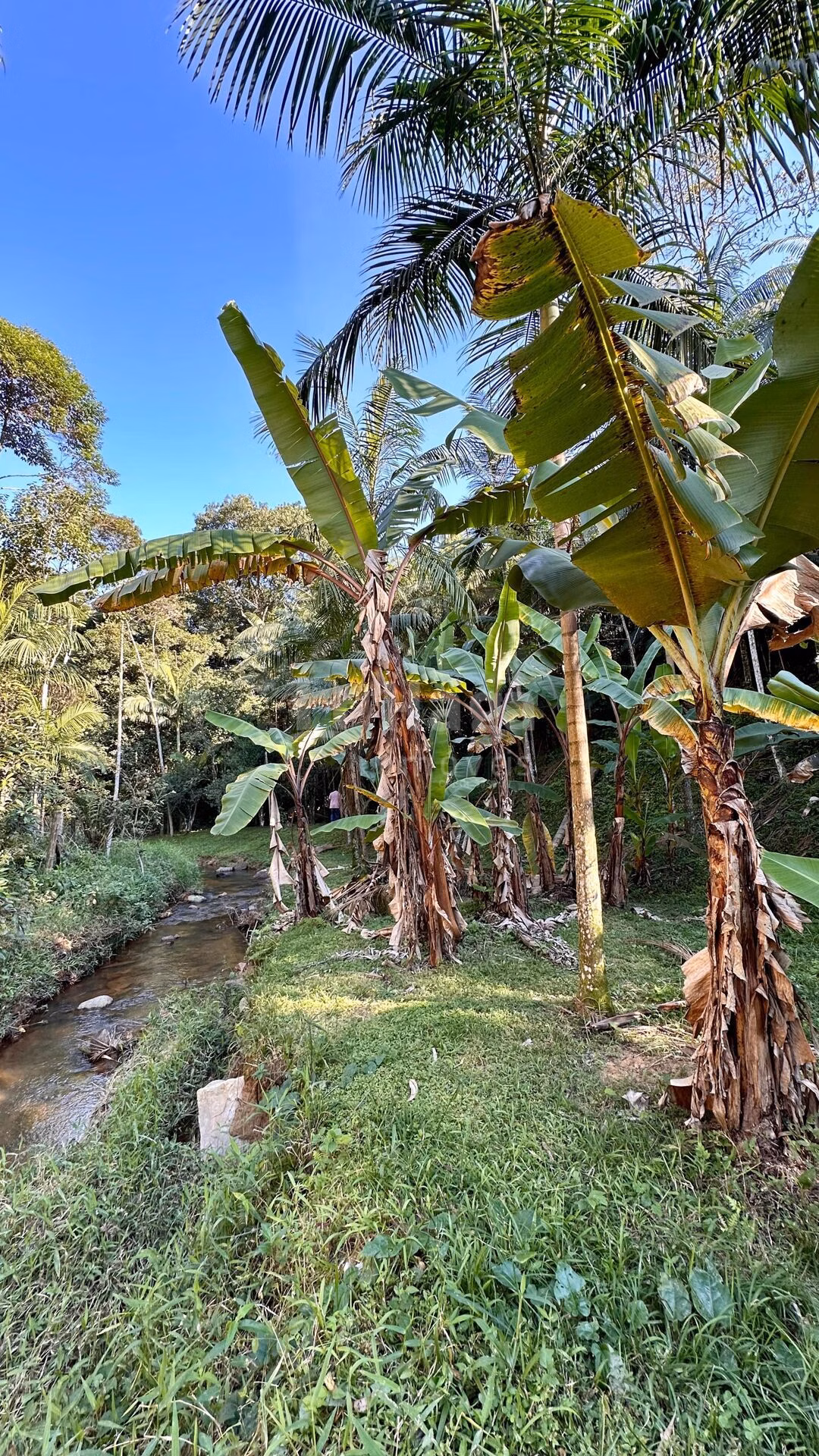 Farm of 3,000 m² in Tijucas, SC, Brazil