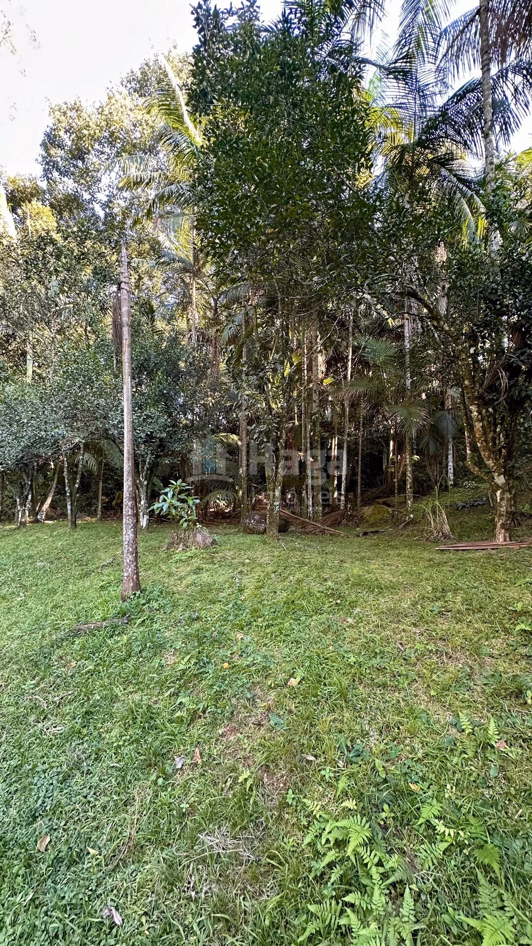Farm of 3,000 m² in Tijucas, SC, Brazil