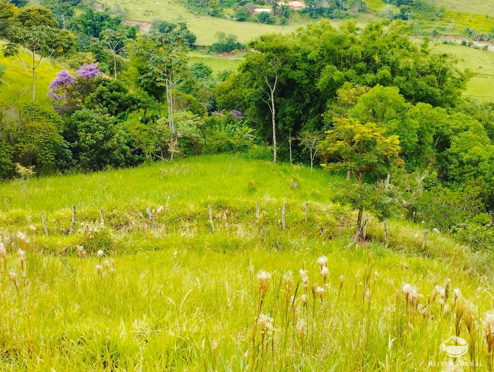 Small farm of 48 acres in Monteiro Lobato, SP, Brazil