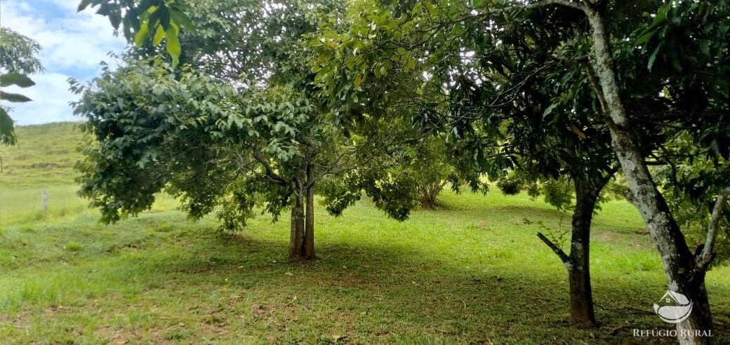 Small farm of 48 acres in Monteiro Lobato, SP, Brazil