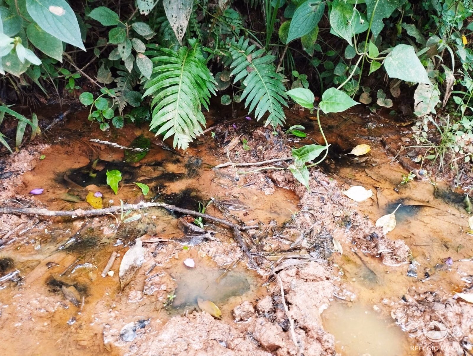 Small farm of 48 acres in Monteiro Lobato, SP, Brazil