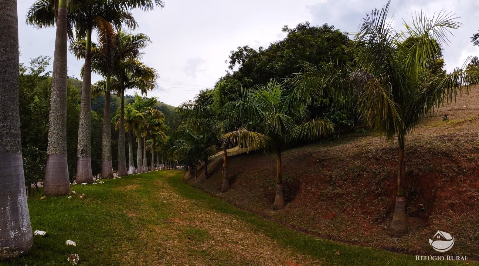 Small farm of 48 acres in Monteiro Lobato, SP, Brazil