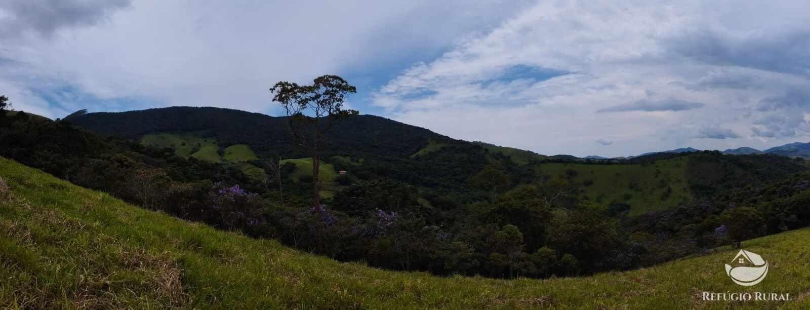 Small farm of 48 acres in Monteiro Lobato, SP, Brazil