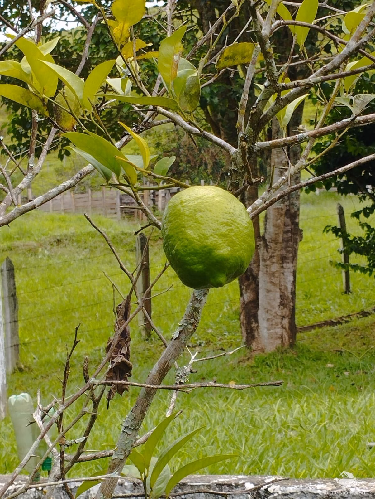 Sítio de 19 ha em Monteiro Lobato, SP