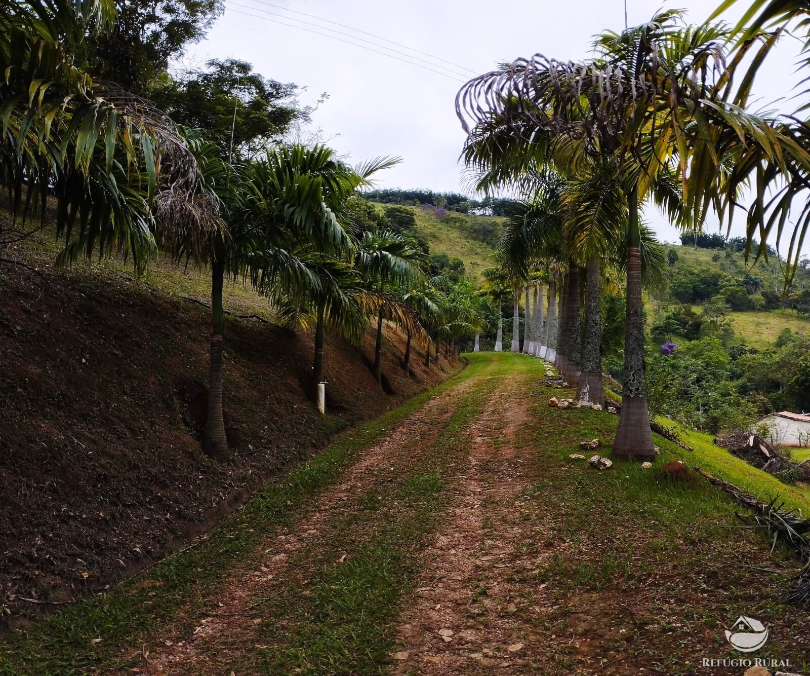 Small farm of 48 acres in Monteiro Lobato, SP, Brazil