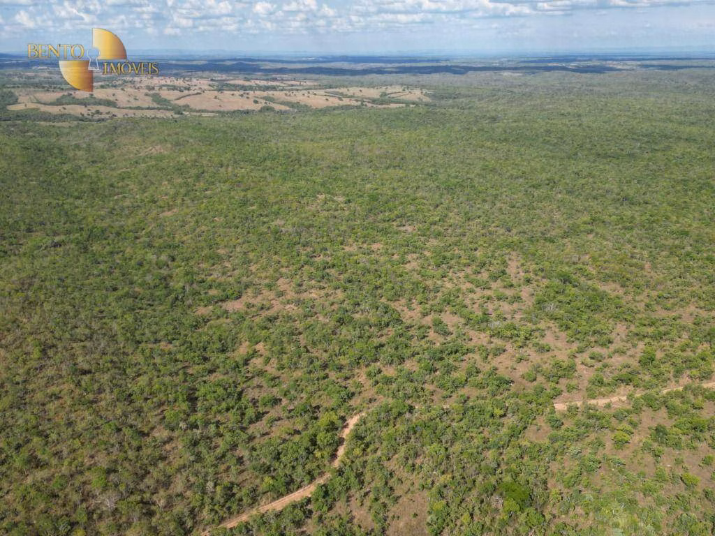 Fazenda de 320 ha em Nossa Senhora do Livramento, MT