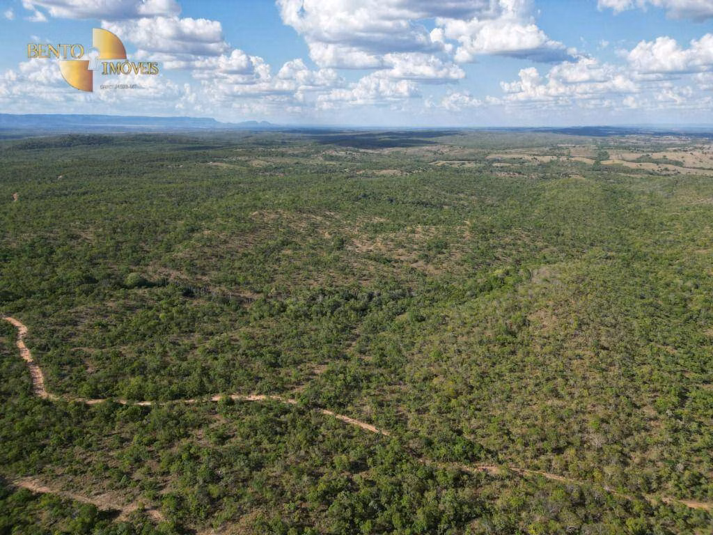 Fazenda de 320 ha em Nossa Senhora do Livramento, MT