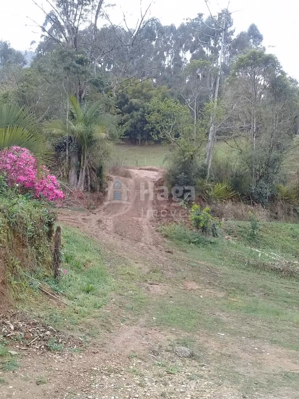 Terreno de 4 ha em Nova Trento, SC