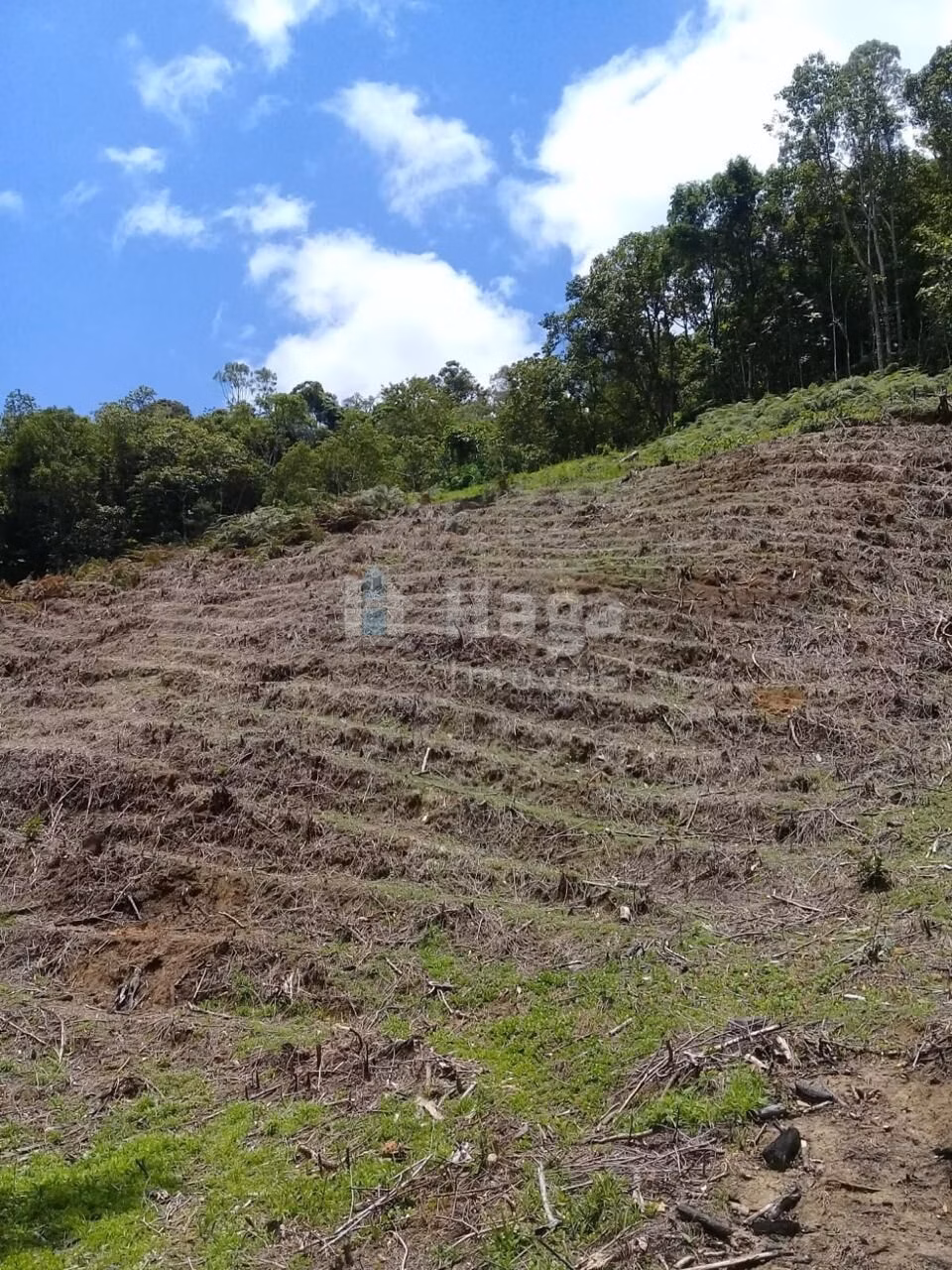 Terreno de 4 ha em Nova Trento, SC