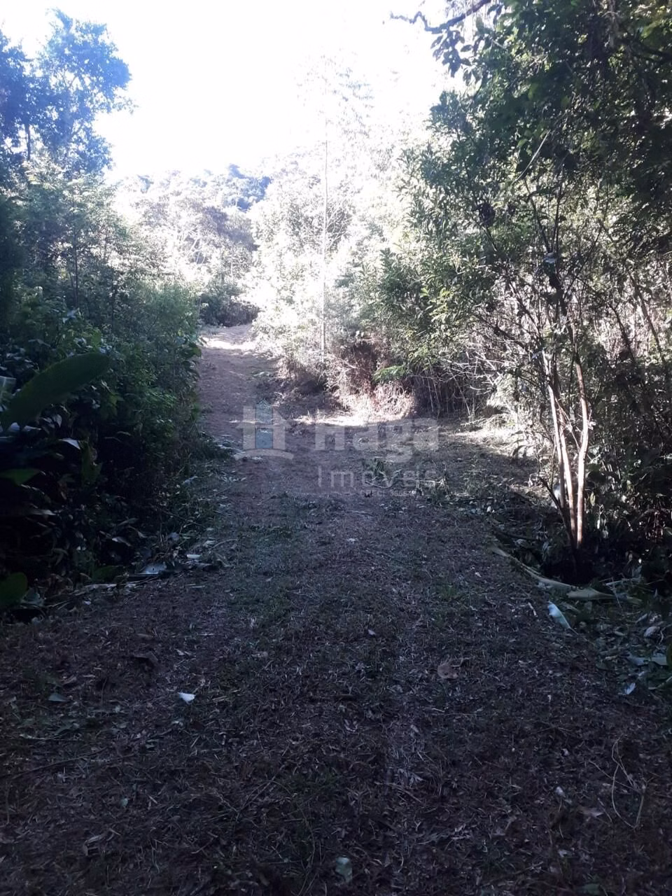 Terreno de 4 ha em Nova Trento, SC