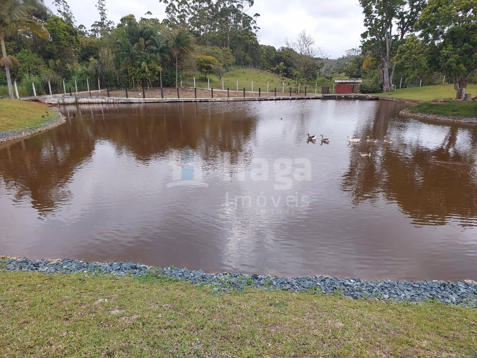 Terreno de 1 ha em Balneário Piçarras, SC