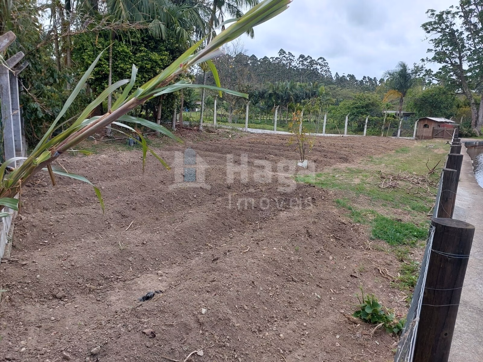 Terreno de 1 ha em Balneário Piçarras, SC