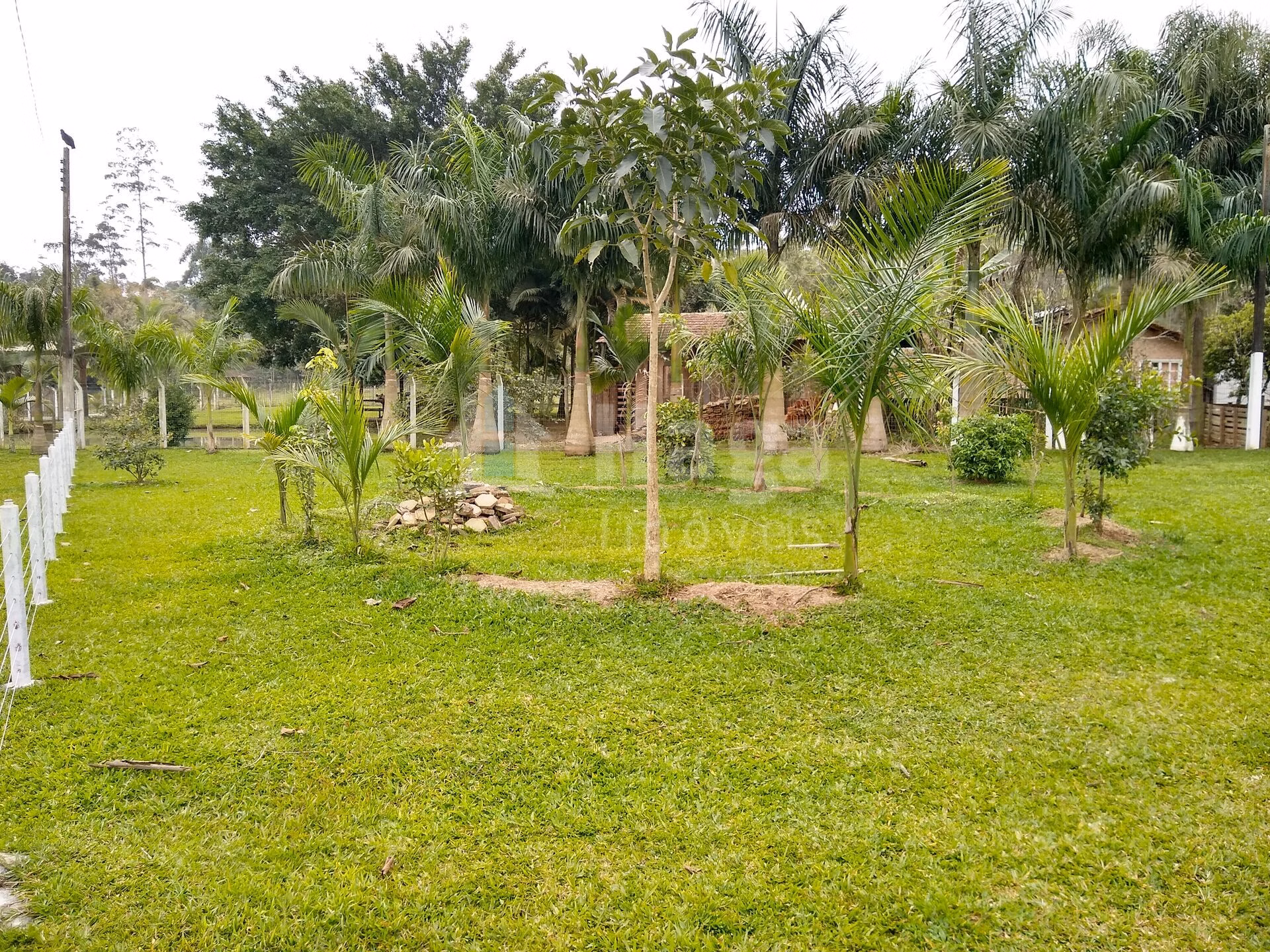 Terreno de 1 ha em Balneário Piçarras, SC