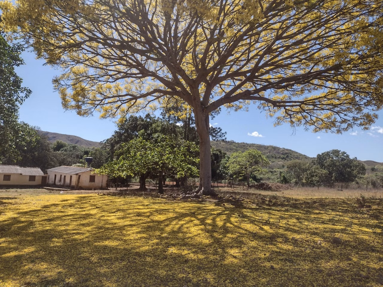 Fazenda de 513 ha em Brasília, DF