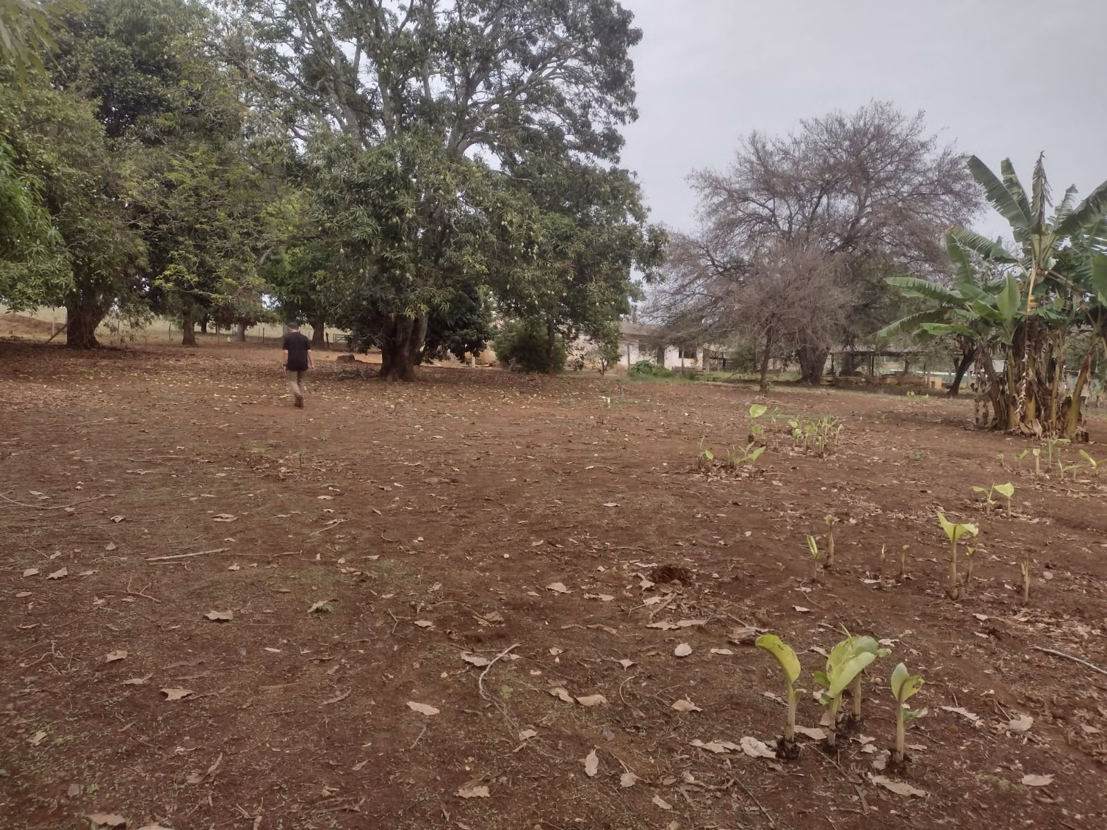 Fazenda de 513 ha em Brasília, DF