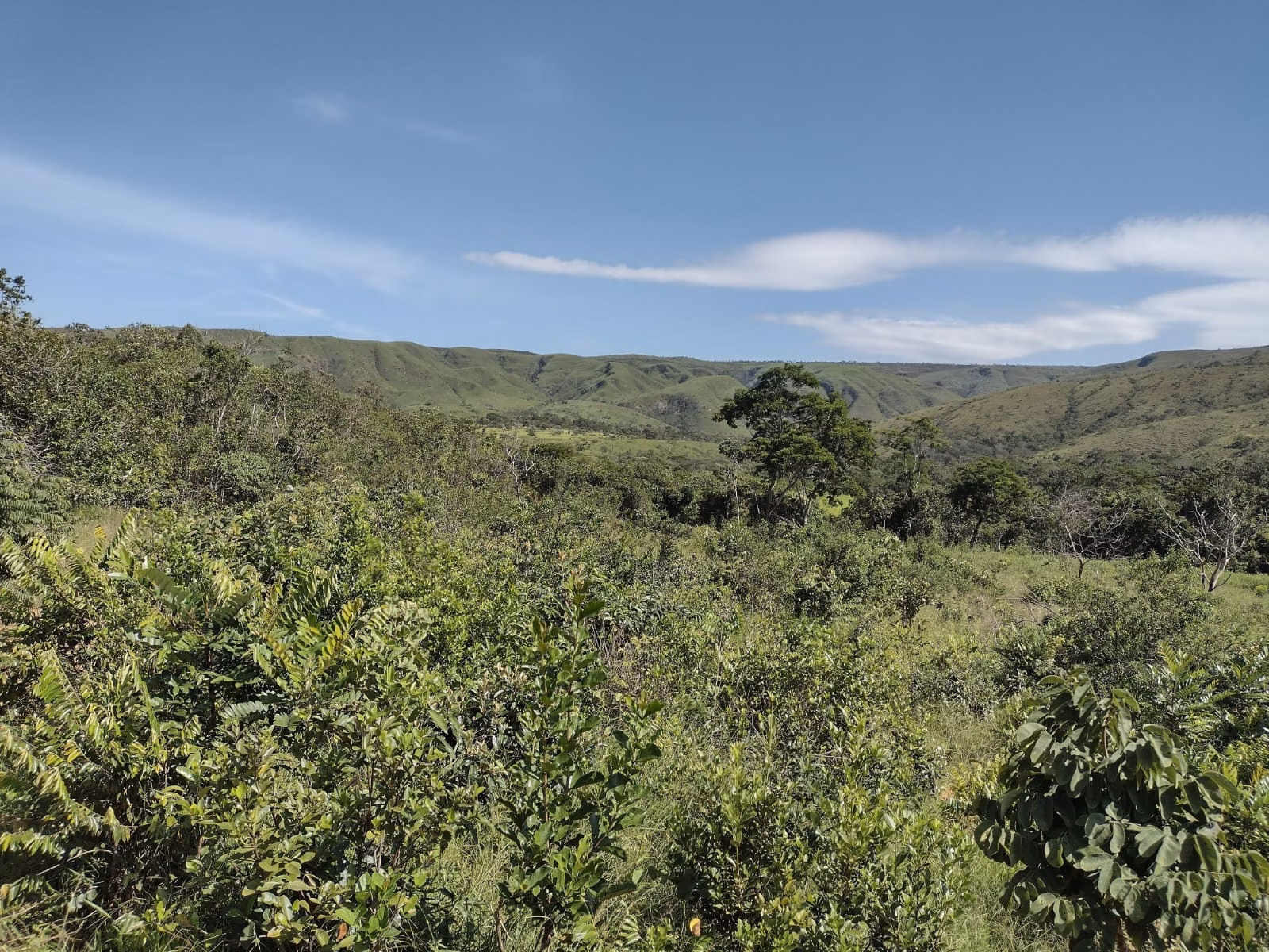 Fazenda de 513 ha em Brasília, DF