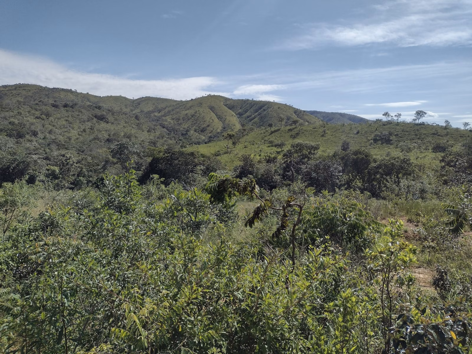 Fazenda de 513 ha em Brasília, DF