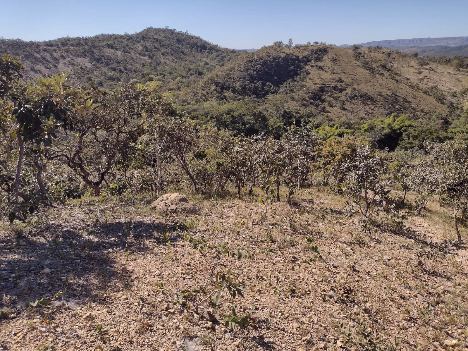 Fazenda de 513 ha em Brasília, DF