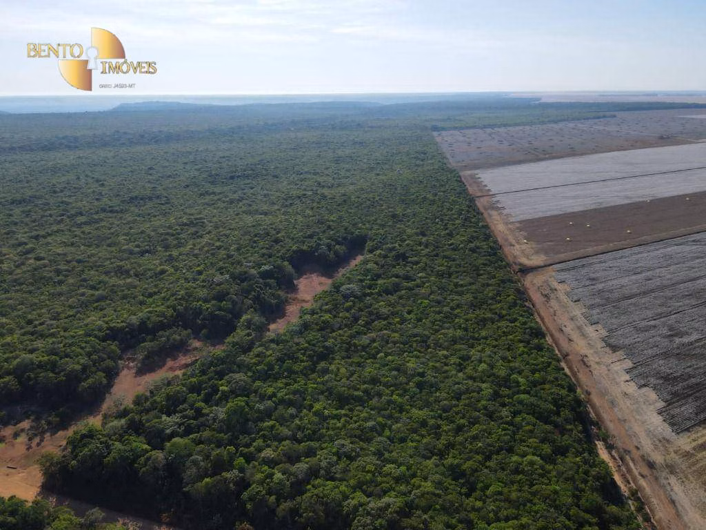 Farm of 14,826 acres in Tabaporã, MT, Brazil