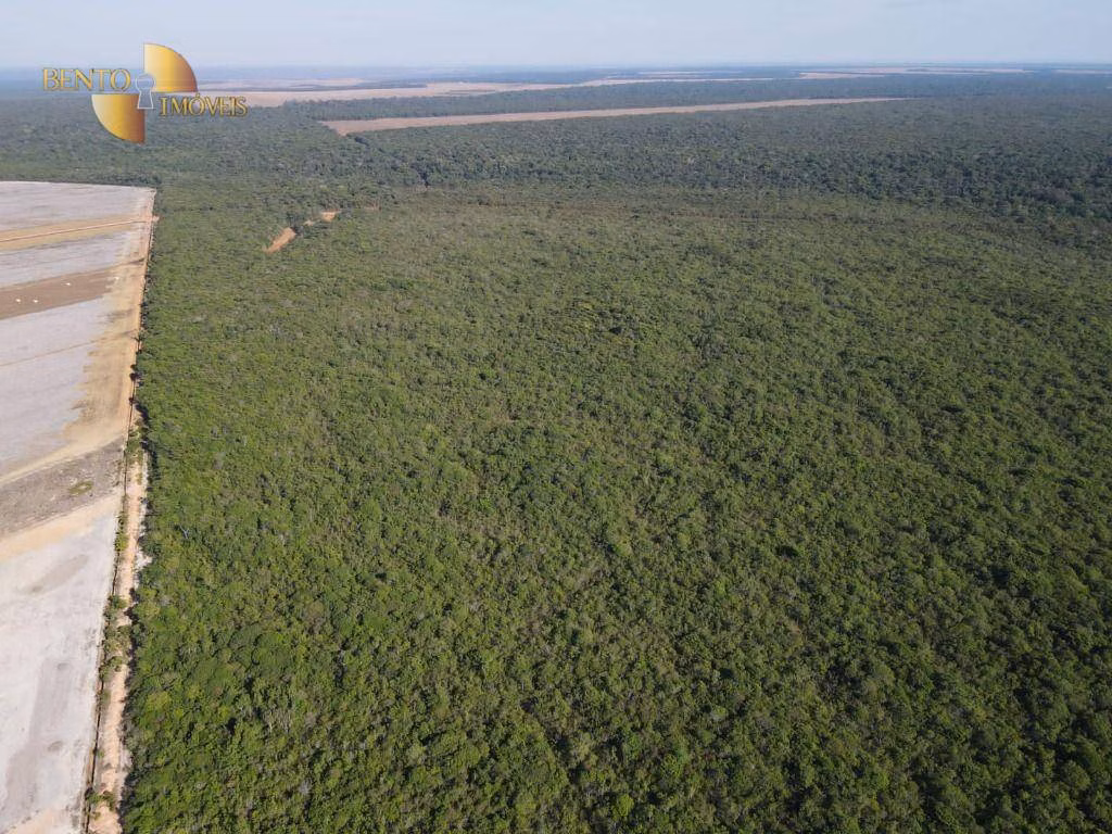 Farm of 14,826 acres in Tabaporã, MT, Brazil