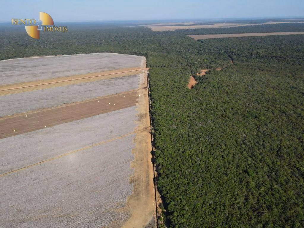 Farm of 14,826 acres in Tabaporã, MT, Brazil