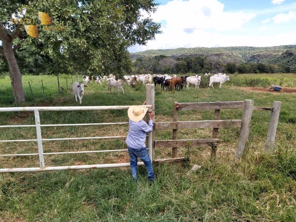 Farm of 3,978 acres in Poxoréu, MT, Brazil