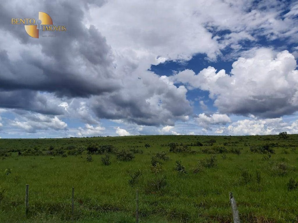 Farm of 3,978 acres in Poxoréu, MT, Brazil