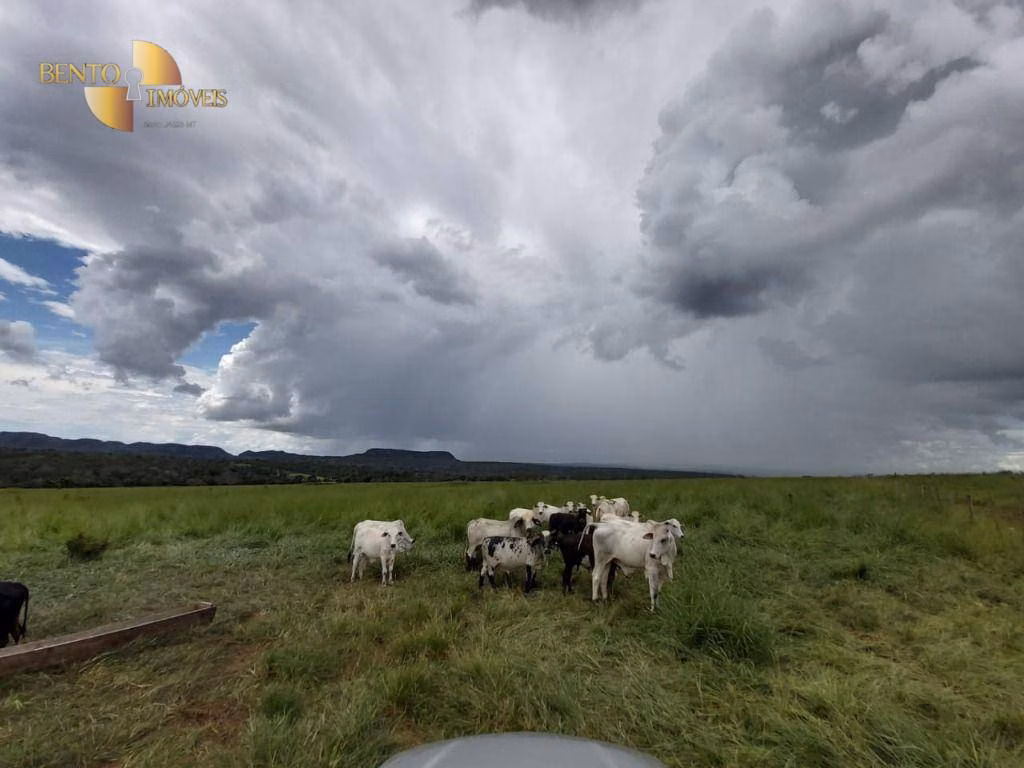 Farm of 3,978 acres in Poxoréu, MT, Brazil