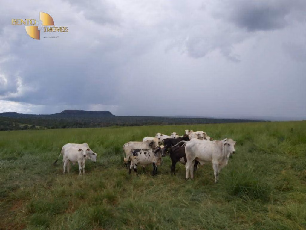 Farm of 3,978 acres in Poxoréu, MT, Brazil