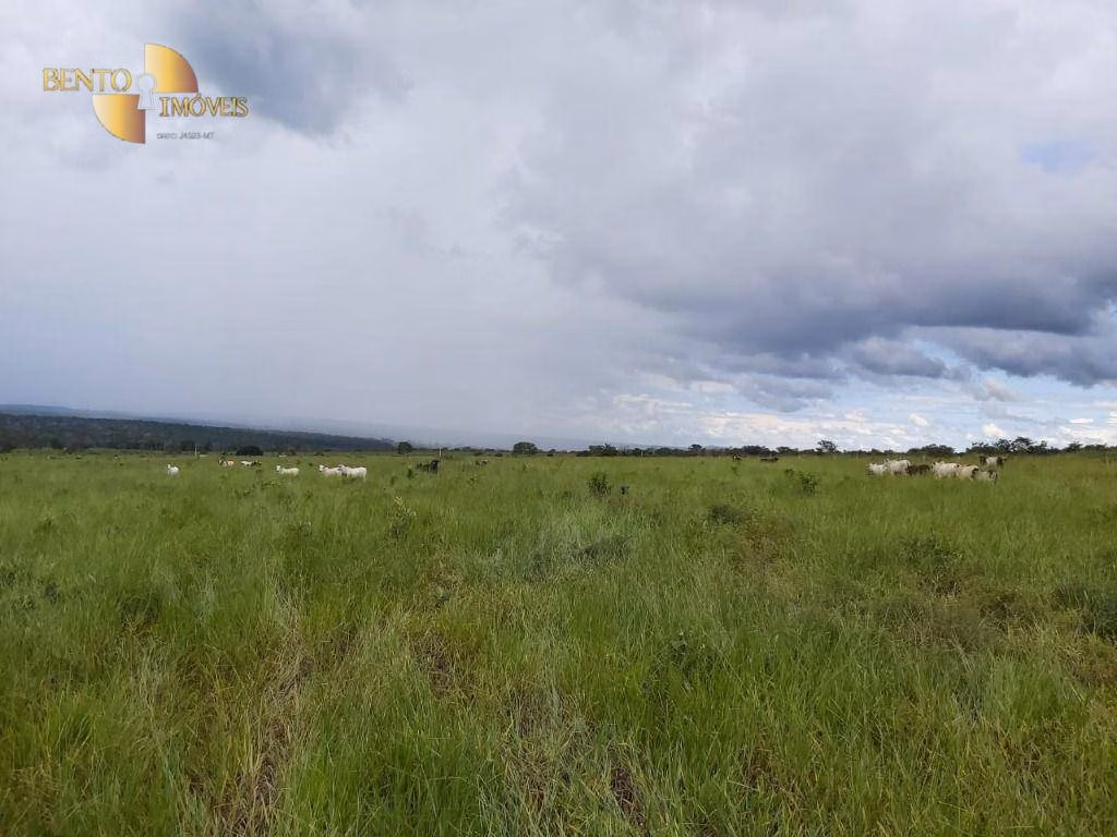 Farm of 3,978 acres in Poxoréu, MT, Brazil