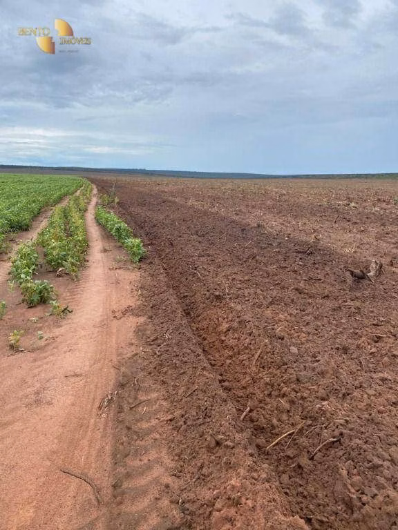 Fazenda de 1.495 ha em Tangará da Serra, MT