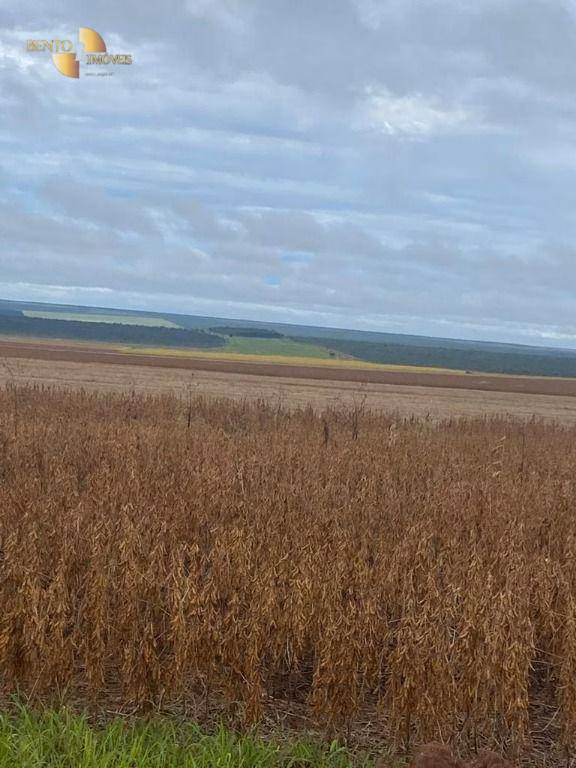 Fazenda de 1.495 ha em Tangará da Serra, MT