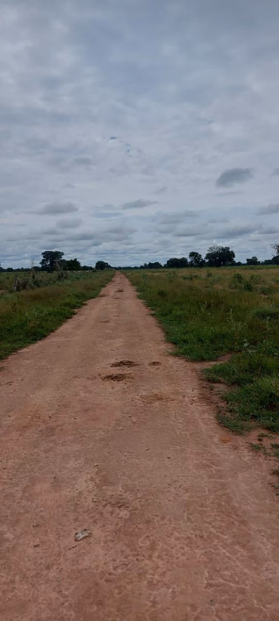Farm of 32,183 acres in Cuiabá, MT, Brazil