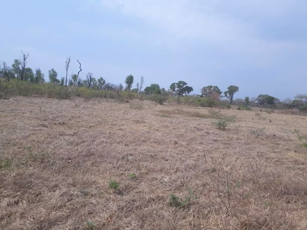 Farm of 32,183 acres in Cuiabá, MT, Brazil