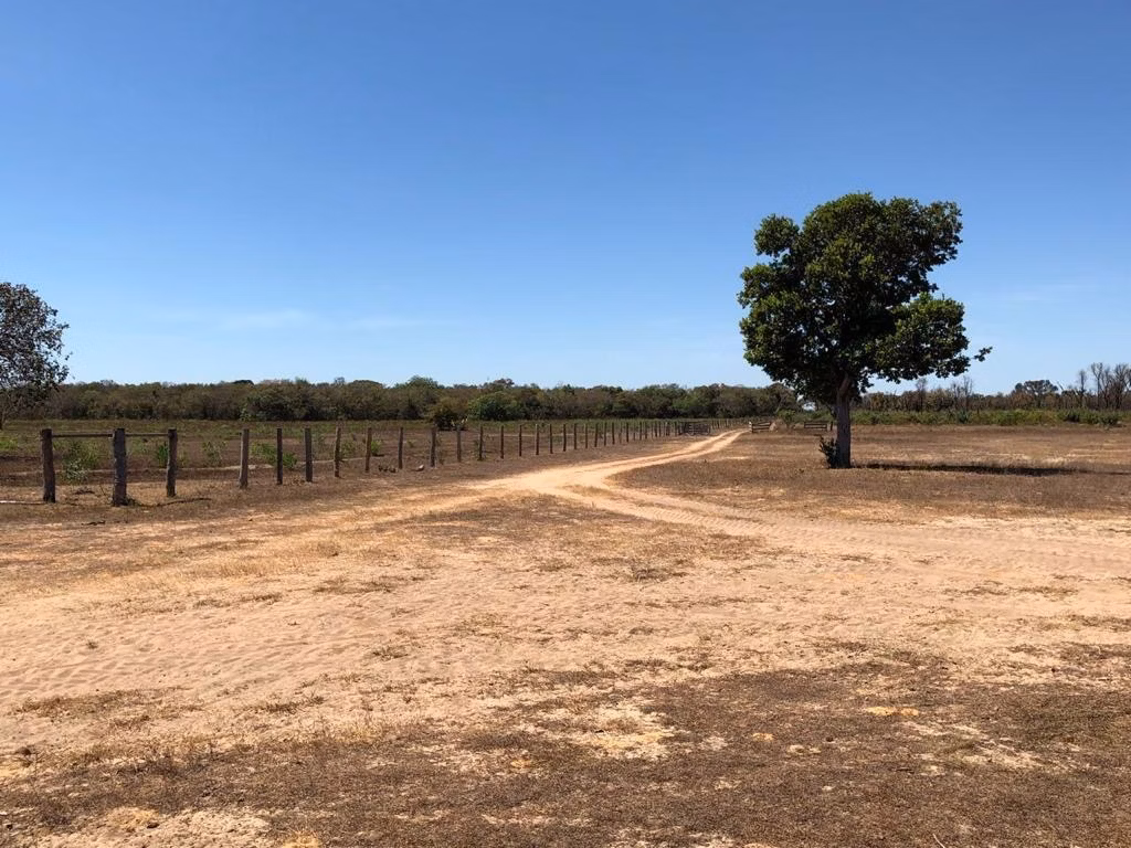 Farm of 32,183 acres in Cuiabá, MT, Brazil
