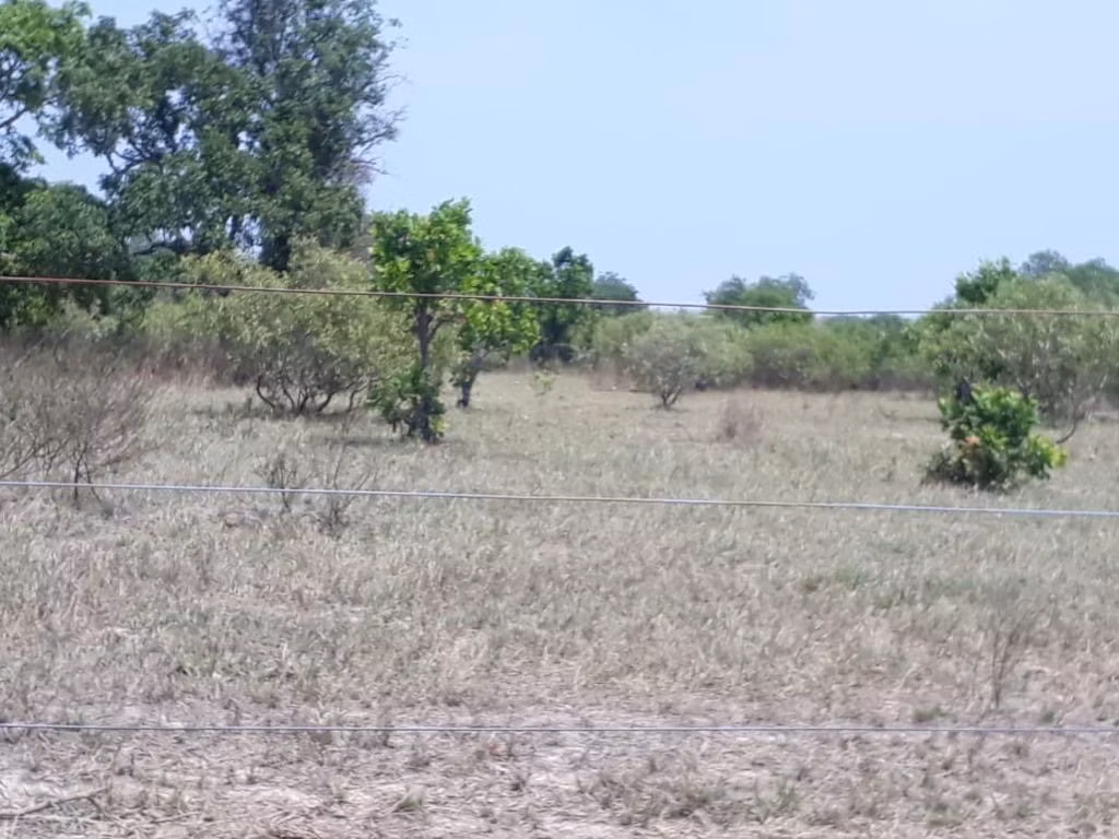 Farm of 32,183 acres in Cuiabá, MT, Brazil