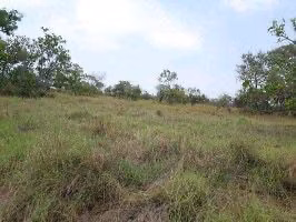 Farm of 32,183 acres in Cuiabá, MT, Brazil
