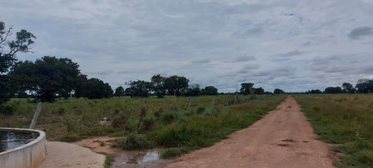 Farm of 32,183 acres in Cuiabá, MT, Brazil