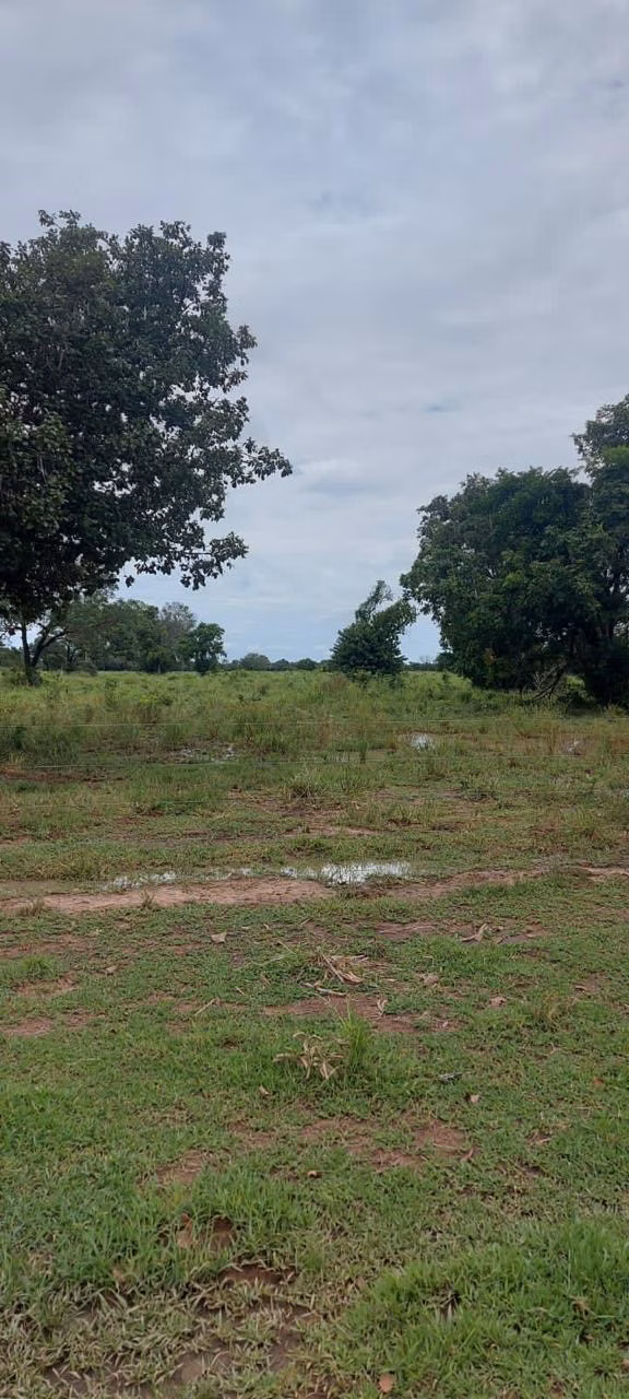 Farm of 32,183 acres in Cuiabá, MT, Brazil