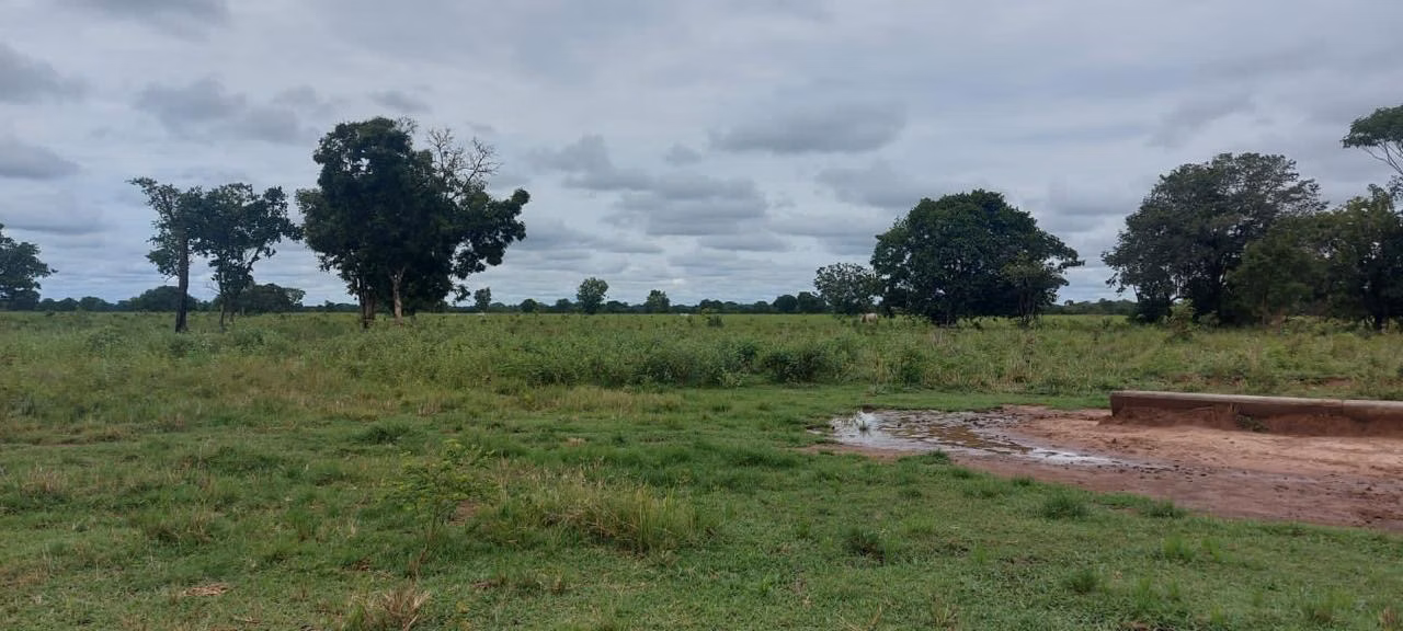 Farm of 32,183 acres in Cuiabá, MT, Brazil