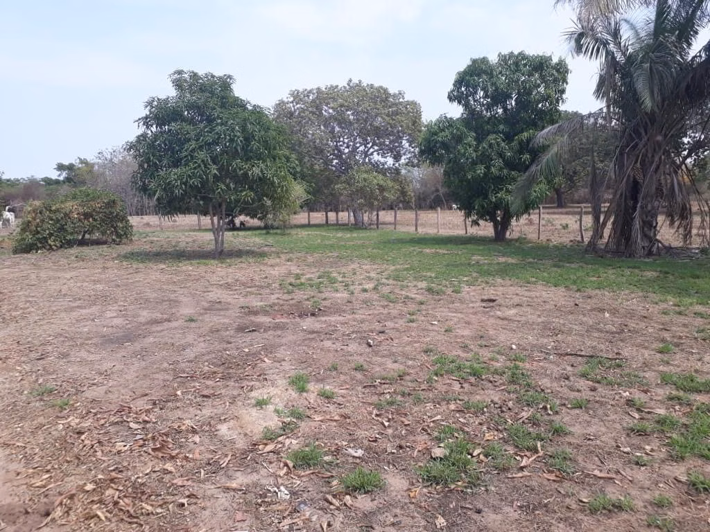 Farm of 32,183 acres in Cuiabá, MT, Brazil
