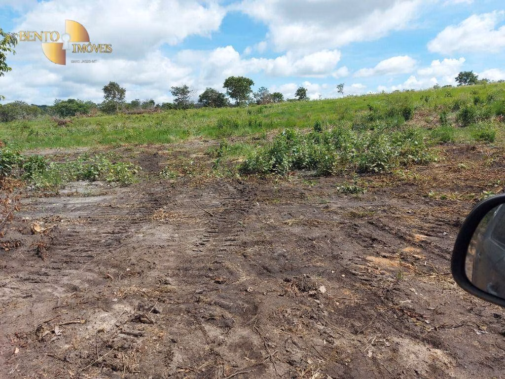 Fazenda de 893 ha em Guiratinga, MT
