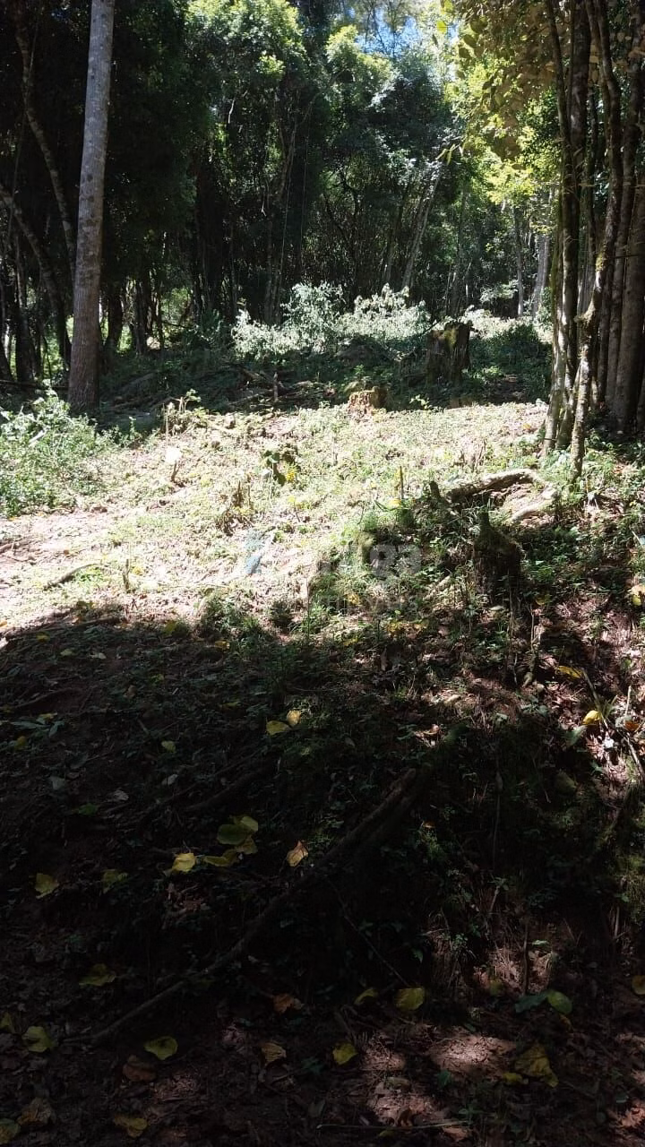 Farm of 30 acres in Alfredo Wagner, SC, Brazil