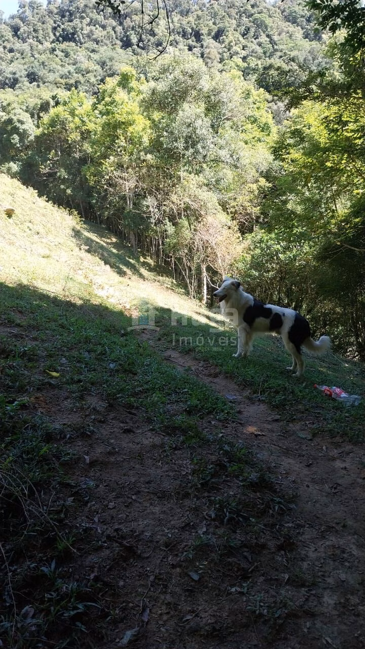 Farm of 30 acres in Alfredo Wagner, SC, Brazil