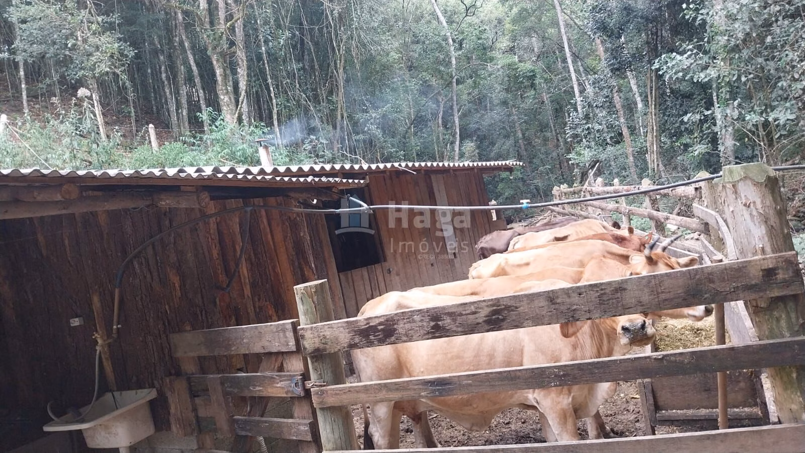 Farm of 30 acres in Alfredo Wagner, SC, Brazil