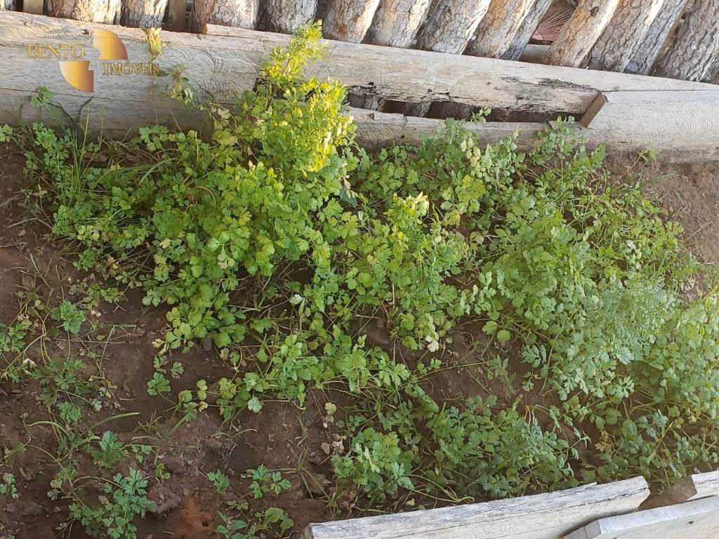 Fazenda de 1.475 ha em Nobres, MT